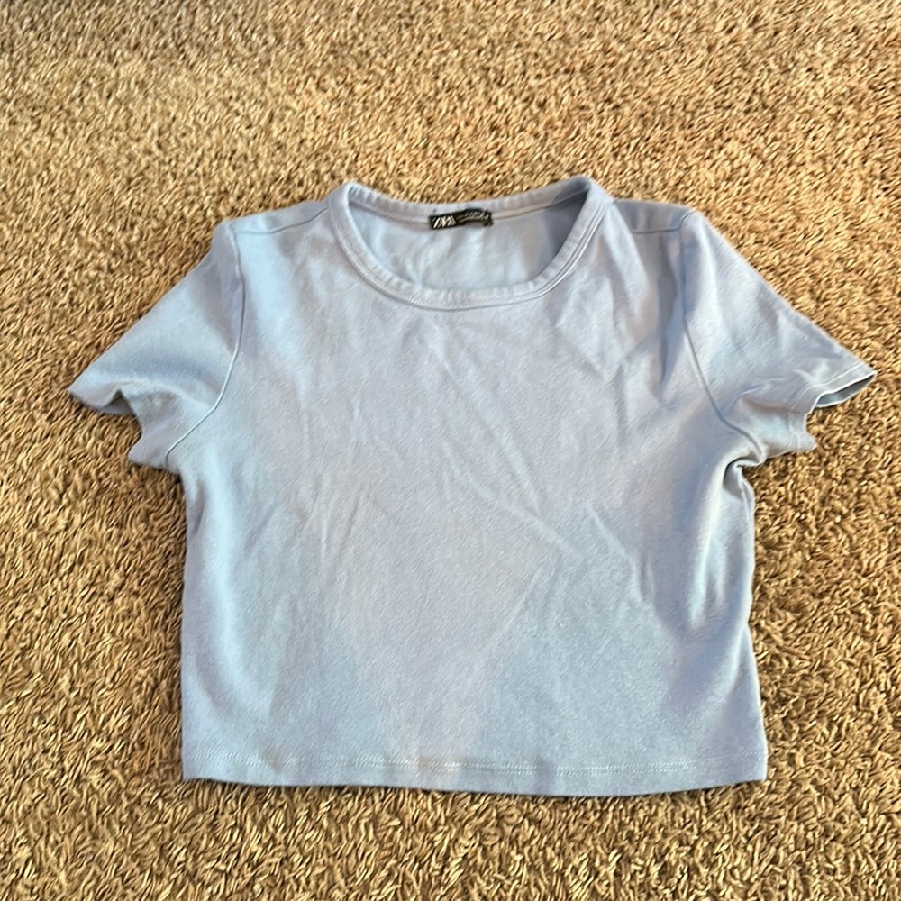 Zara Fitted Cropped T-Shirt